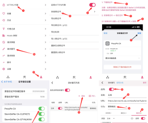 最新 无保上二 W.X好友辅助抓包 详细图文保姆级教程 外面卖几十-388不等！