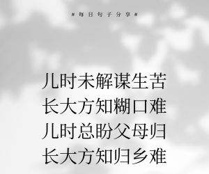 儿时未解谋生苦，长大方知糊口难。 儿时总盼父母归，长大方知归乡难。